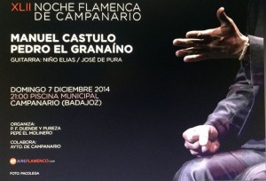 Noche Flamenca en Capanario 7-12-14